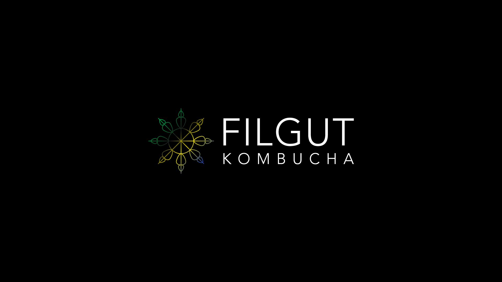 Proyecto de branding para cliente Filgut